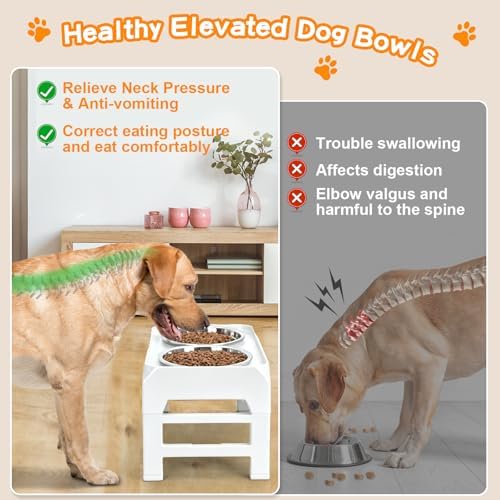 COMESOON Elevated Dog Bowls, 4 Height Adjustable Raised Bowl Stand with 2 Thick 50oz Stainless Steel Food Bowls Non-Slip Feeder Adjusts to 3.7'', 9.2'', 10.75'', 12.36'' White - Image 3