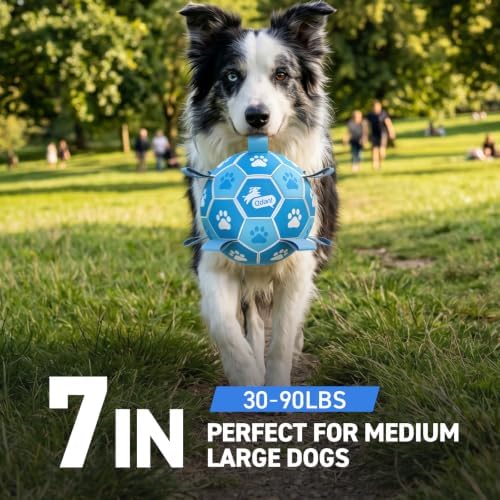 QDAN Dog Soccer Balls Toys : Premium Dog Soccer Ball with Straps, Outdoor Dog Toys, Pet Training Soccer for Medium Large (7 Inch) - Image 3