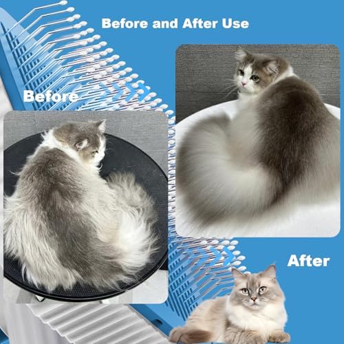 Cat brush, Cat Brush for Long or Short Haired Cats - Image 6