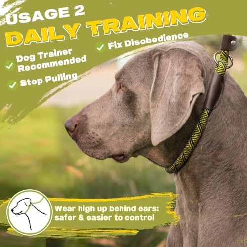 Fida Durable Slip Lead Dog Leash, 6 FT x 1/2" Dog Training Leash, Yellow - Image 5