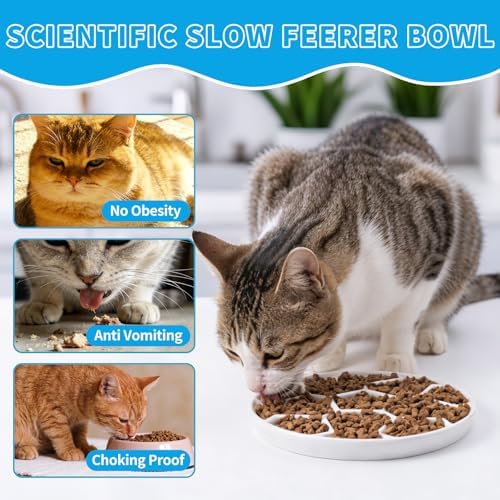 Ceramic Cat Slow Feeder,Shallow and Wide Opening Dish for Whisker Friendly - Image 3