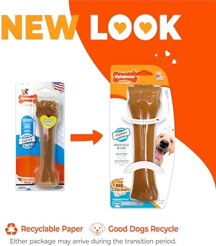 Nylabone Puppy Chew Teething Knuckle Bone Dog Chew Toy, Chicken Flavor - Image 3