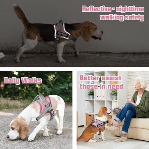 AUROTH Dog Harness and Leash Set for Large Sized Dog, No Pull Dog Vest - Image 4