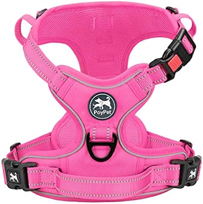 PoyPet No Pull Dog Harness, Reflective Vest with 2 Leash Clips & Handle by PoyPet
