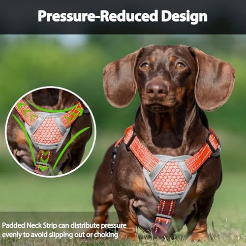 Huntboo Escape Proof Dog Harness, Dachshund Harness, Reflective Dog Harness with Handle, Durable,Adjustable Vest for Small Medium Large Dogs Walking, Training, and Running Gear (Orange,L) - Image 5