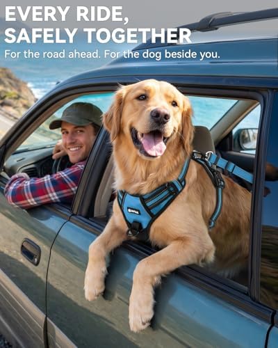 Joytale 3-in-1 Bungee Dog Seat Belt for Car, Medium Large Dogs, Sky Blue - Image 4