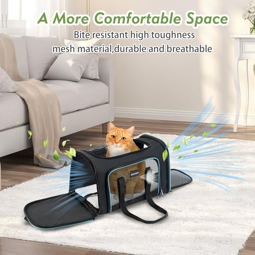 Soundy Large Cat Carrier Dog Carrier Under 25 Lbs,Collapsible Ventilated Portable Pet Bag with Soft Sided Breathable Mesh for Long Car Trips Maxi Load 2 Kittens or Small, Medium Dog (Large Black) - Image 6