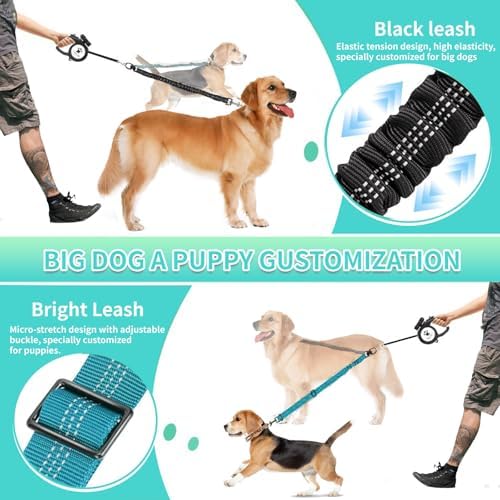 Double Leash for Two Dogs, 2-in-1 No Tangle Design with Bungee Shock Absorber & Adjustable Strap for Walking, Running, Training (Blue) - Image 5