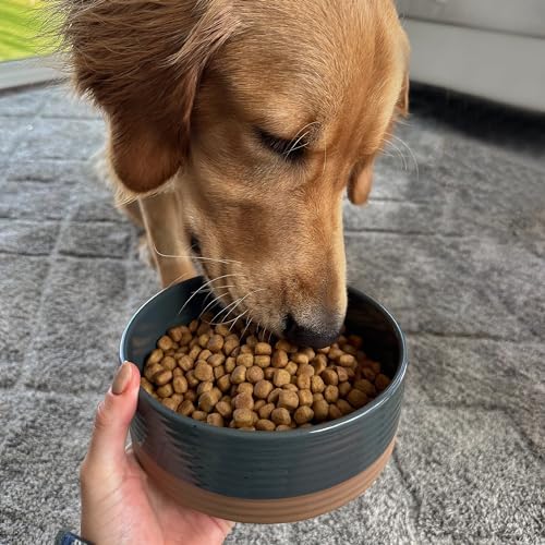 Mora Ceramic Pet Bowl Size Medium - Food/Water Dish for Large Puppies, Cats, Retrievers, Medium Sized Dogs, ect. 28oz or 4 Cups - Basic Bowls for Your Dog or Cat, Mix and Match for a Set - Charcoal - Image 5