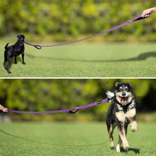 Plutus Pet Double Handle Dog Leash, 6 FT Long, for Medium Large Dogs - Image 6