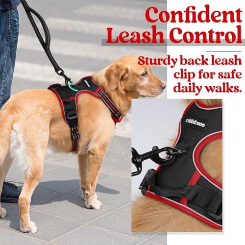 rabbitgoo Dog Harness, No Pull for Large Dogs with 2 Leash Clips, Pet Vest - Image 5