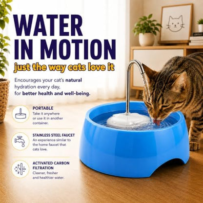 Aqua MINI Portable Pet Water Fountain - Automatic Drinking Bowl for Cats and Dogs - Stainless Steel Faucet - Replaceable Filters - Easy Cleaning - Ideal for Multiple Pets - 1.2L/42 fl oz - Blue - Image 5