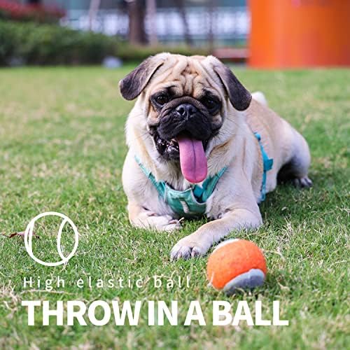 PAWISE Dog Ball Launcher for Small & Medium Dogs, 12.2" Dogs Fetch Toy with Tennis Bal, Portable Hands-Free Pick-Up Thrower for Indoor & Outdoor Play - Image 6
