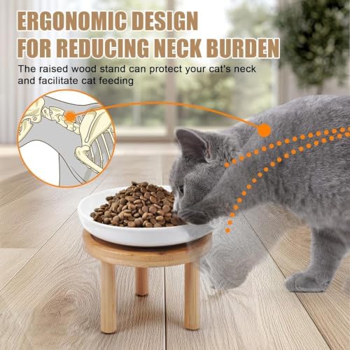 Shallow Elevated Cat Bowls with Bamboo Stand, 5.9 Inch Raised Slow Feeder Cat Bowl and Wide Ceramic Cats Bowls Whisker Friendly, 2 Pack Pet Dishes for Dry and Wet Food Dishwasher Safe - Image 3