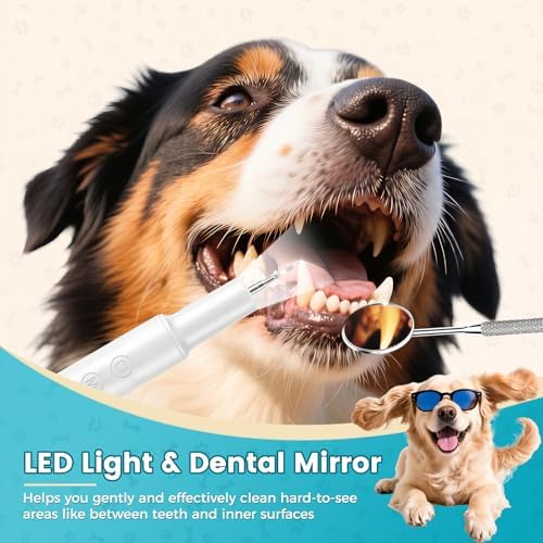 Dog Plaque Remover, Pet Tartar Remover for Teeth with LED Light & 5 Speed Modes, Dog Ultrasonic Tooth Cleaner, Tooth Brushing Kit for Teeth Stains for Dogs and Cats, Best Gift for Pet - Image 3