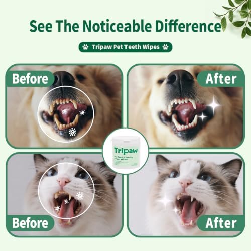 Pet Dental Wipes 50 Counts Pet Teeth Cleaning Finger Wipes - Image 2