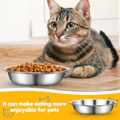 5 Pcs Stainless Steel Cat Bowls, 5.5 in Shallow Wide Cat Food Bowls - Image 6