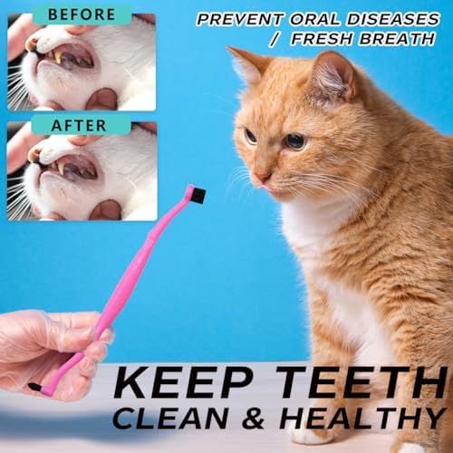 Pet Dental Care Set, Dual-Sided Toothbrush and Finger Brush, for Dogs and Cats (Black, Small Cone) - Image 2