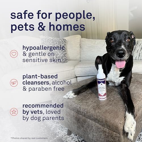 Petpost | Pet Odor Eliminator Spray for Dogs & Cats - Naturally Effective Deodorant and Bad Smell Killer - For Spraying Your Pet or Around the Home 8 oz. - Image 5