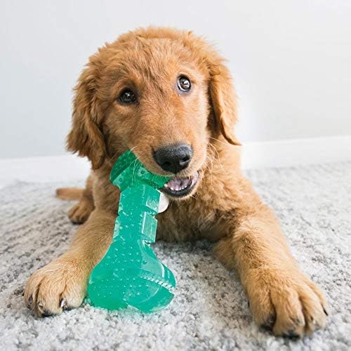 KONG Squeezz Dental Bone, Flexible Dental Chew Toy, for Medium/Large Dogs - Image 2