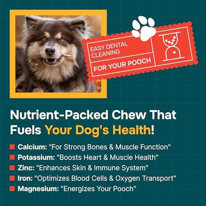 REXIPETS 100% Natural - Elk Antlers for Dogs - Naturally Shed in USA - Long Lasting Chews for Aggressive Chewers - Natural, Real Dog Antler Treats & Toys - Dog Chews - No Odor & No Mess - Large - Image 2