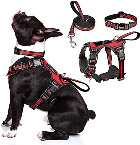 WINSEE Pet Harness Collar and Leash Set, All-in-one Reflective Dog Harness No Pull with Adjustable Buckles for Puppies, Small, Medium, Large, and Extra-Large Dogs (Medium, Red) by WINSEE