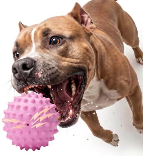 3.5'' Squeaky Dog Ball for Aggressive Chewers 25-80lbs by Apasiri