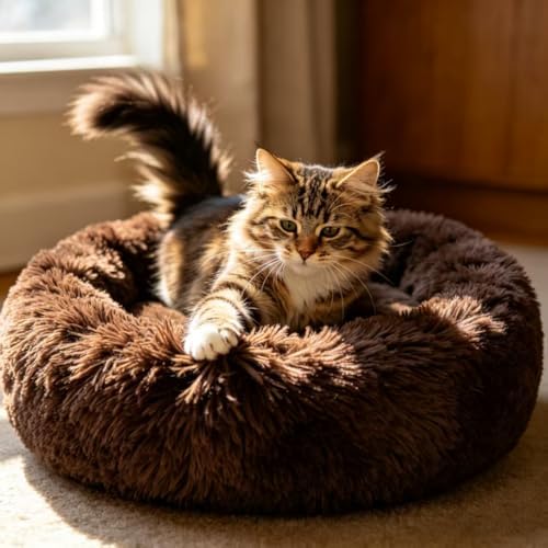 Cat Beds for Indoor Cats - Cat Bed Washable 20/24 inches, Dog Beds for Small Medium Dogs, Anti Anxiety Round Fluffy Plush Faux Fur Pet Bed, Thick Bottom (Coffee, Medium) by Unknown