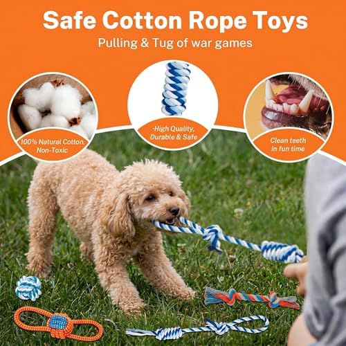 Toozey 8 Pack Small Dog Toys, Squeaky Plush Puppy Toys & Durable Rope Toys - Image 3