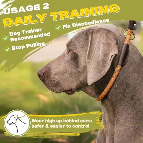 Fida Durable Slip Lead Dog Leash, 6 FT x 1/2" Dog Training Leash, Orange - Image 5