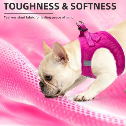 PUPTECK Dog Harness, Collar and Leash Set No Pull for Small Medium Sized - Image 5