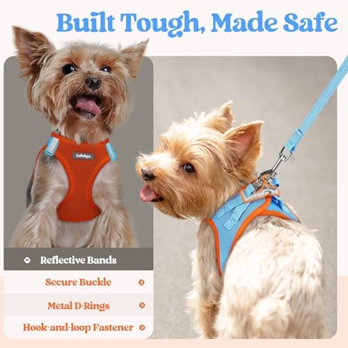 rabbitgoo Dog Harness Small Sized and Leash Set, Step-in Puppy Pet Vest - Image 5