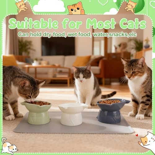 3 Pcs Elevated Cat Bowls 15°Raised Cat Food Bowl with Silicone Mat 3 Colors - Image 5