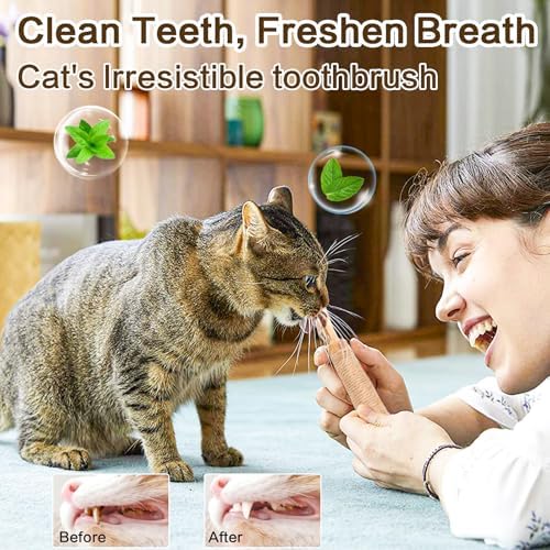 FOIMAS Silvervine Sticks Cat Toys,10pcs Cat Chew Stick Catnip Chew Toy Interactive Cat Toy for Cat Kitten Teeth Cleaning Treat Toys Indoor Outdoor - Image 4