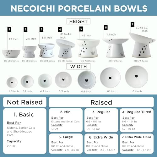 Necoichi Ceramic Elevated Cat Food Bowl (Fuji, Regular Flat) - Image 5