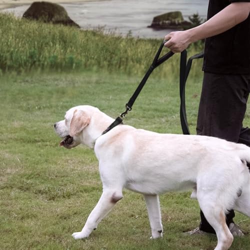 Wagtime Club Heavy Duty Double Handle Dog Leash for Large Medium Small Dogs - Image 5