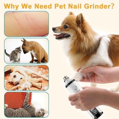 2026 Upgraded Silent Groom Pro Nail Grinder - 3-Speed Cordless Grooming Pro Nail Grinder, Pet Nail Trimmer with 2 LED Light,USB-C Rechargeable & 2 Grinding Wheels for Small Medium Large Dogs and Cats - Image 5