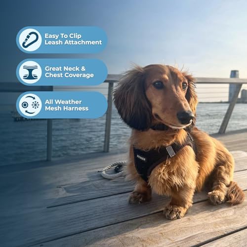 Best Pet Supplies Voyager Step-in Air All Weather Mesh Harness and Reflective Dog 5ft Leash Combo with Neoprene Handle, for Small, Medium and Large Breed Puppies - Black, Large - Image 5