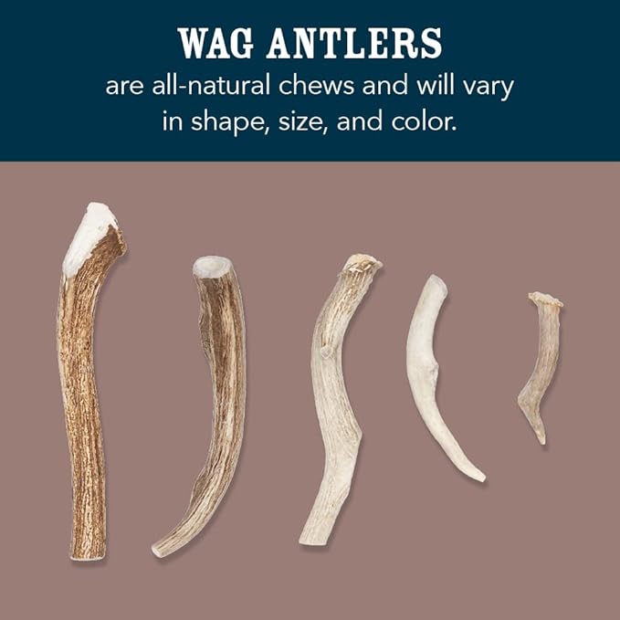 Amazon Brand - Wag Dog Deer Antler Chew, Naturally Shed, Whole, 9 - 10.5 inches, Long Lasting for Aggressive Chewers, X-Large, Best for Dogs over 45 lbs