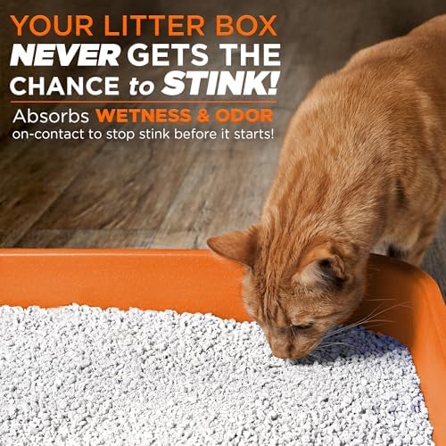 POOPH Litterizer Cat Litter Odor Eliminator Additive, 16 fl oz Bottle - Image 5