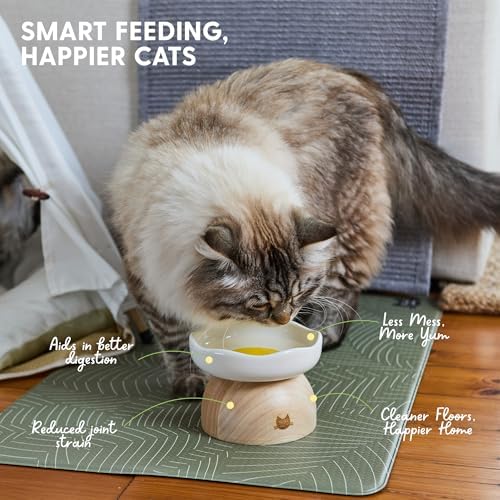 The Cat Ladies Egg Cat Food Bowl - Cute Cats Bowl - Elevated Ceramic Food Bowls - Ceramic Raised Food Bowls - Elevated for Spinal Alignment - Prevents Whisker Fatigue - Wood StandCat Bowl - Image 5