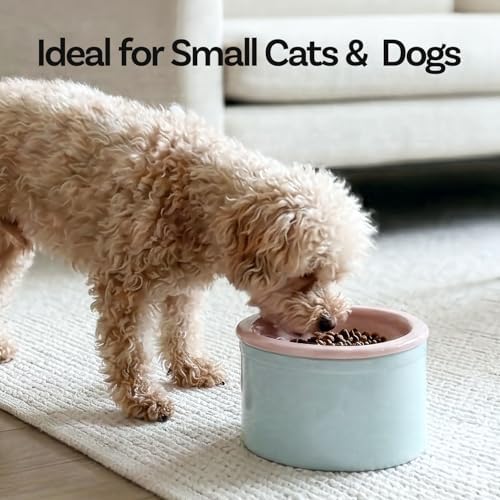 Hello Bowl Elevated Ceramic Cat Bowl with Stand, Raised Whisker-Friendly Feeding Bowl for Cats & Small Dogs, Patented Design, Made in Korea (Gray, Square Only/Dry) - Image 3
