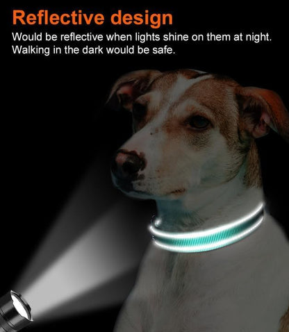 Joytale Reflective Dog Collar, Soft Neoprene Padded, Metal D-Ring, Nylon Pet Collar Adjustable for Small Dogs, Teal, S