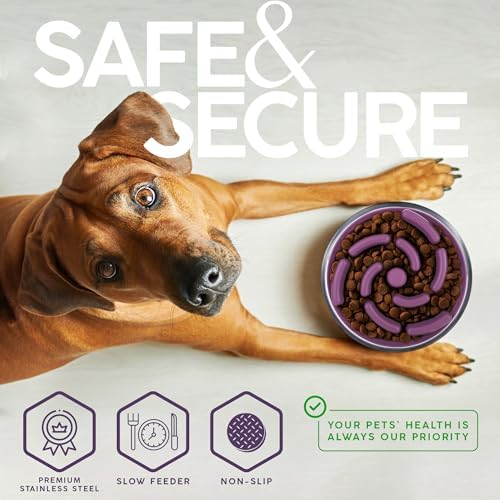 FAHRMOSIS 64 OZ Dog Bowl with Slow Feeder Insert Stainless Steel Pet Water Bowl for Medium & Large Breed Non Slip Rubber Base & Plastic Puzzle Feeder - Lavender - Image 4