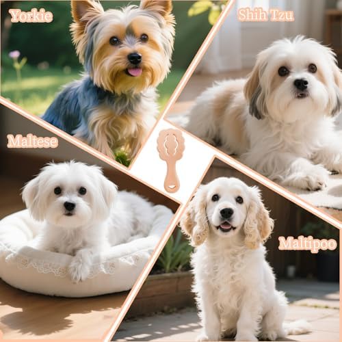 Cloud-Shaped Soft Bristle Small Dog Brush, Puppy Essentials (Pink) - Image 4