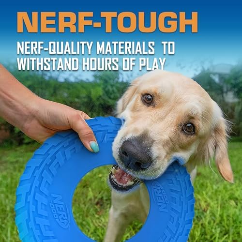 Nerf Dog Tire Flyer Outdoor Dog Toy, 10 Inch Flying Disc Dog Fetch Toy, Rubber Dog Toy for Medium Dogs and Large Dogs, Blue (Pack of 2) - Image 5