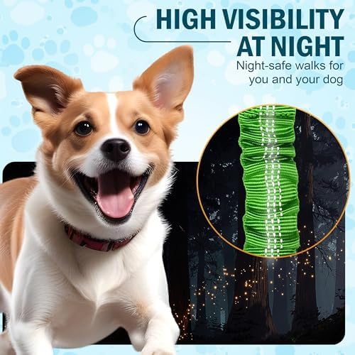 Hands Free Dog Leash with Waist Belt and Bungee for Walking - Image 6