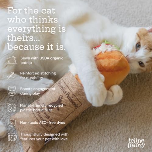P.L.A.Y. Cute Cat Toys - Feline Frenzy Interactive Kicker Toy, Sandwich Food Themed Catnip Filled Toy, Great for Adult Cats and Kittens - Double Stitched, Recycled Materials, Crinkles (Tuna Baguette) - Image 4