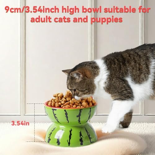 Elevated Cat Bowl Ceramic Raised Cat Food Water Bowls for Indoor Kitten - Image 3