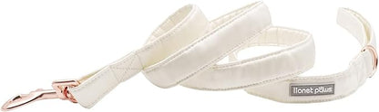 Lionet Paws Dog Leash - Off White Leash for Small Medium Large Dogs Matching Collar for Girl and Boy